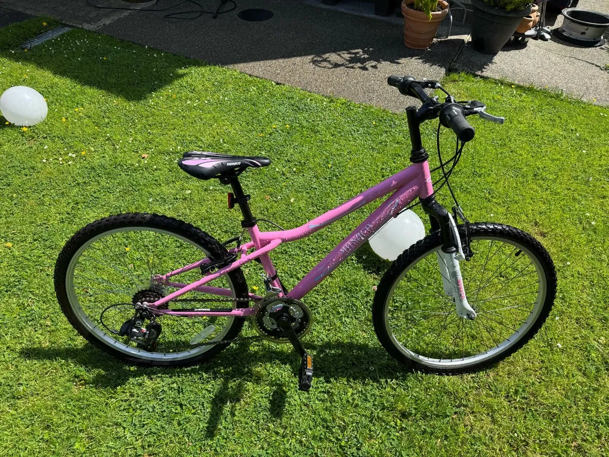 Bike - Image 2
