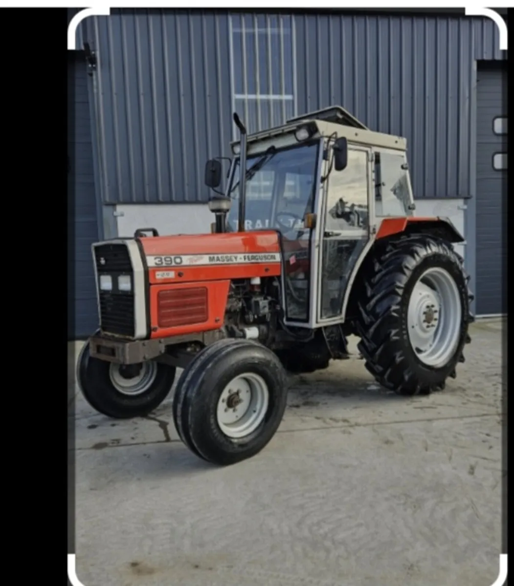 🛑Massey ferguson 390 2wd WANTED🛑