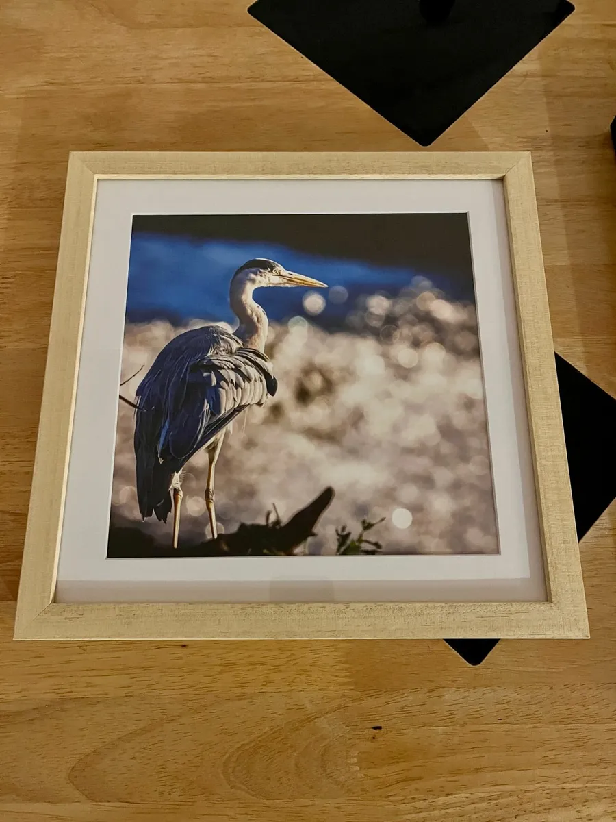 Framed Photos of Cork - Image 3