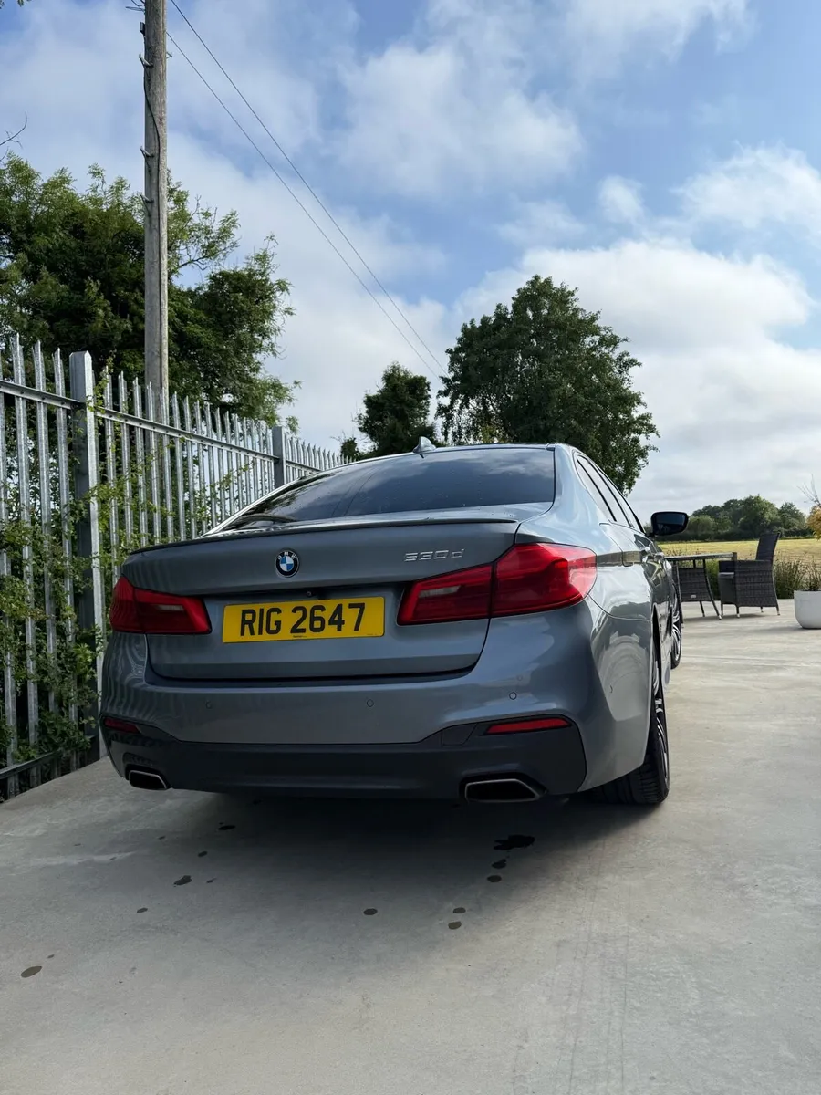 BMW 530d 2019 - Image 2
