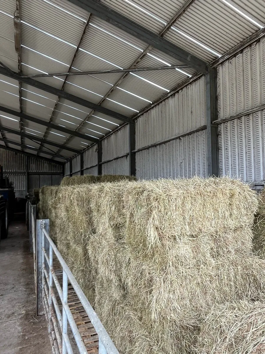 Hay suitable for horses - Image 1
