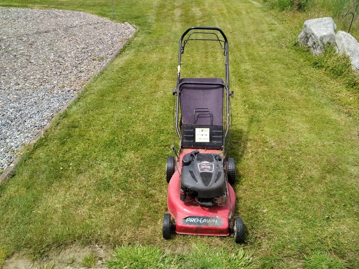 Lawnmower - Image 2