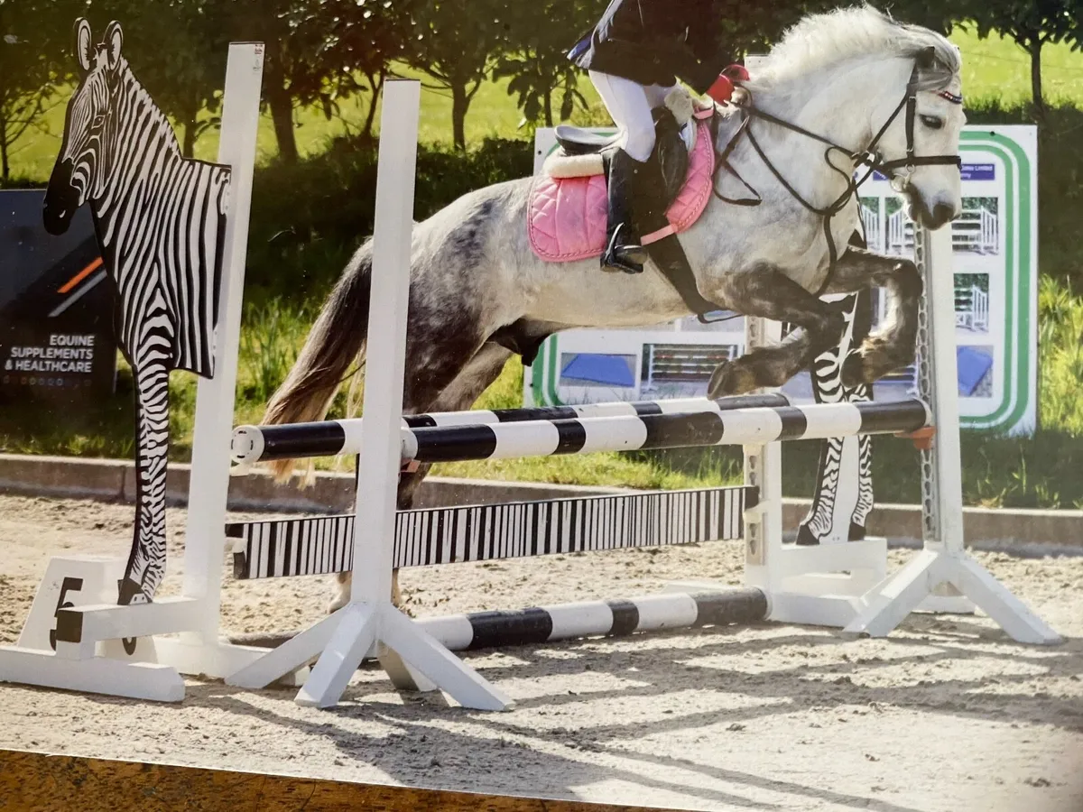 Pony - Image 1