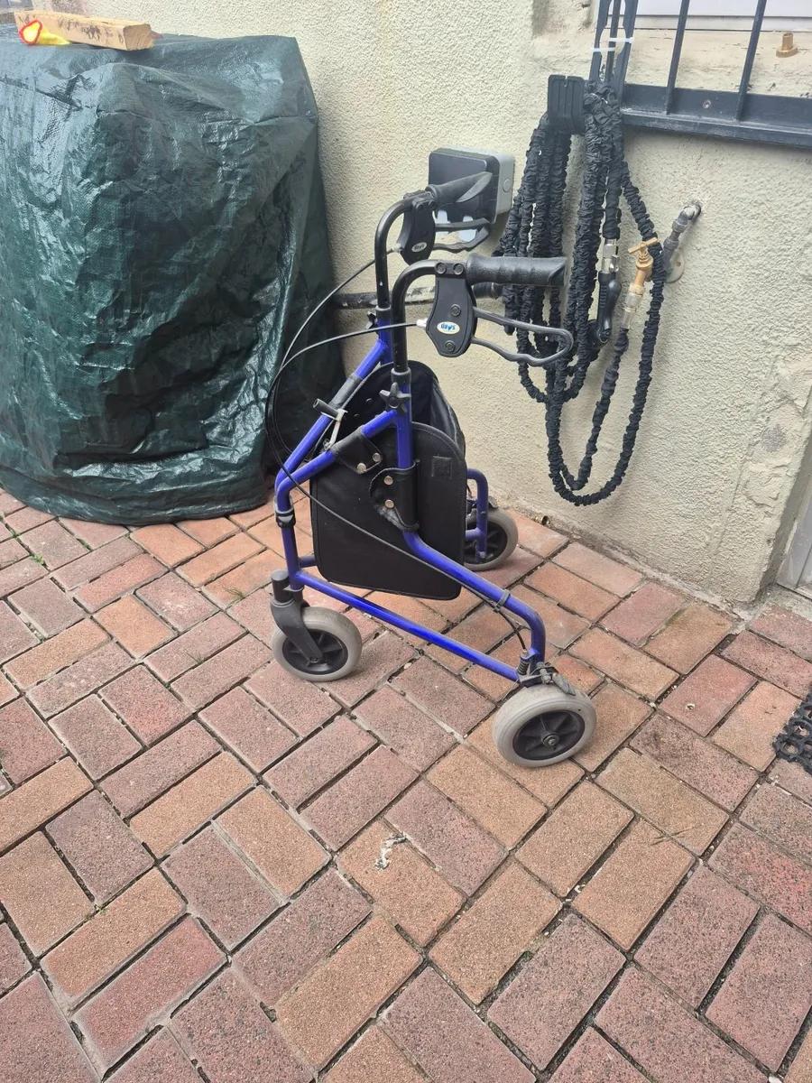Walking assistance