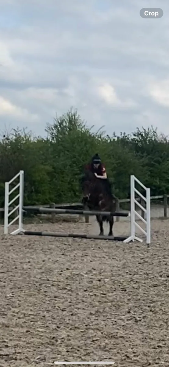 Luna 12.2 All-rounder Pony - Image 4
