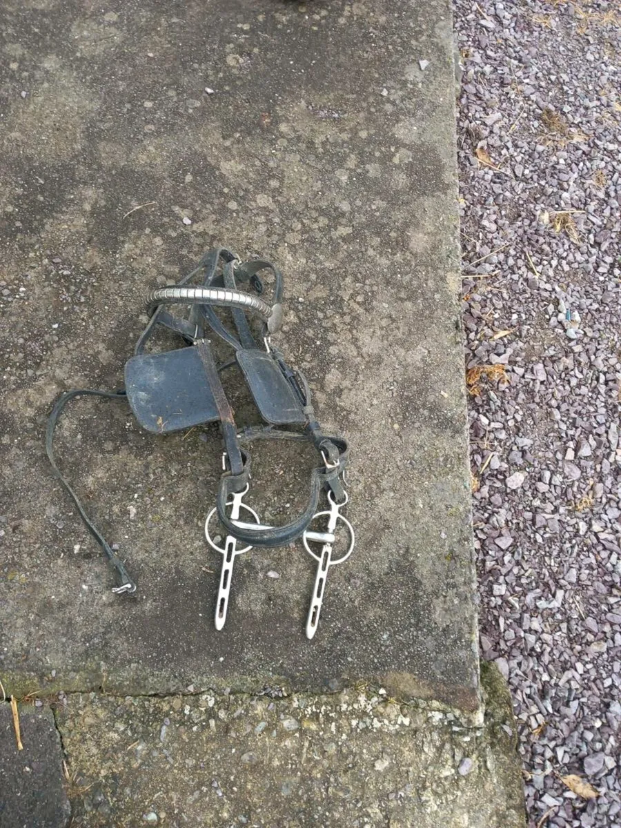 Driving harness - Image 2
