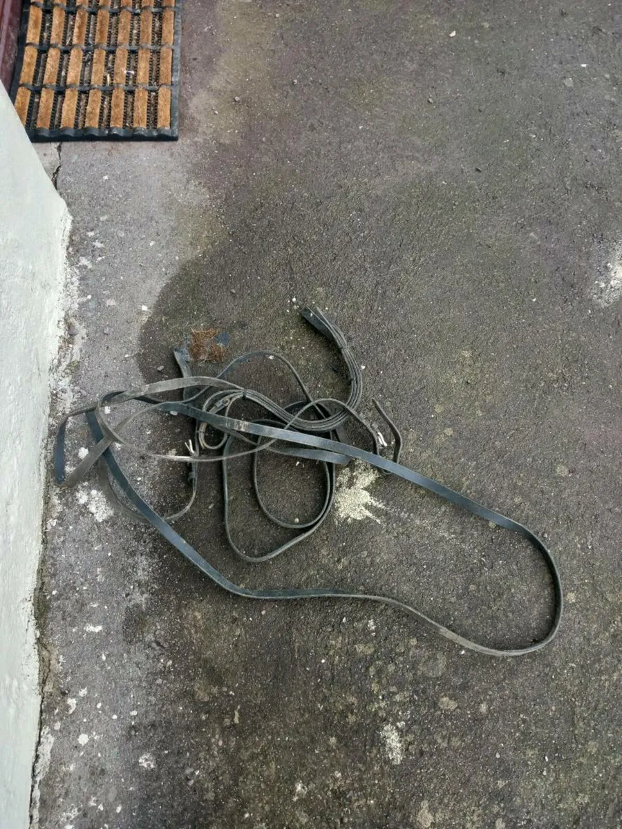 Driving harness - Image 4