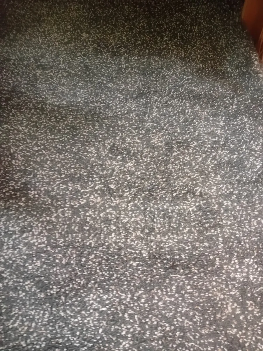 Rug - Image 1