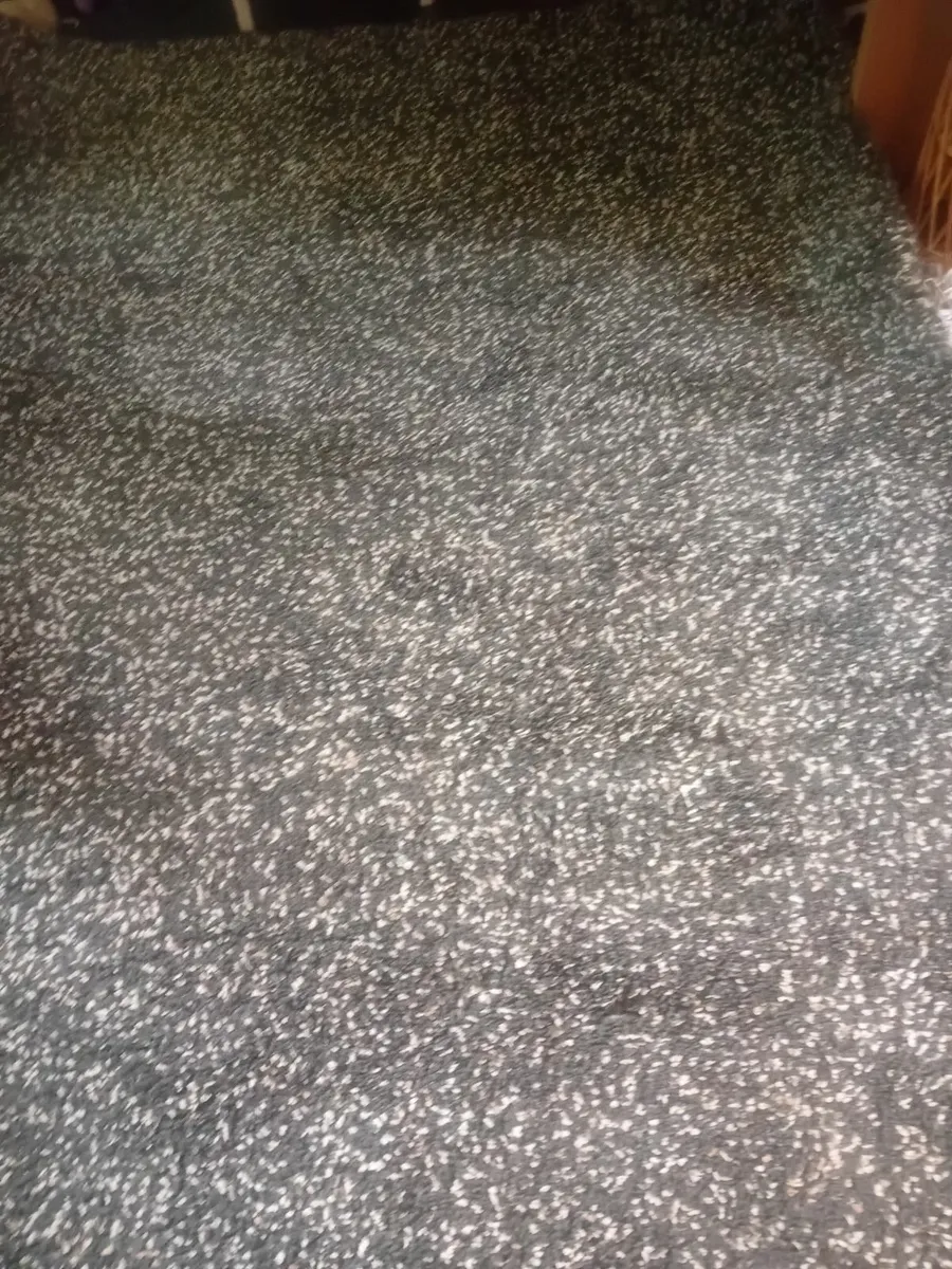 Rug - Image 2