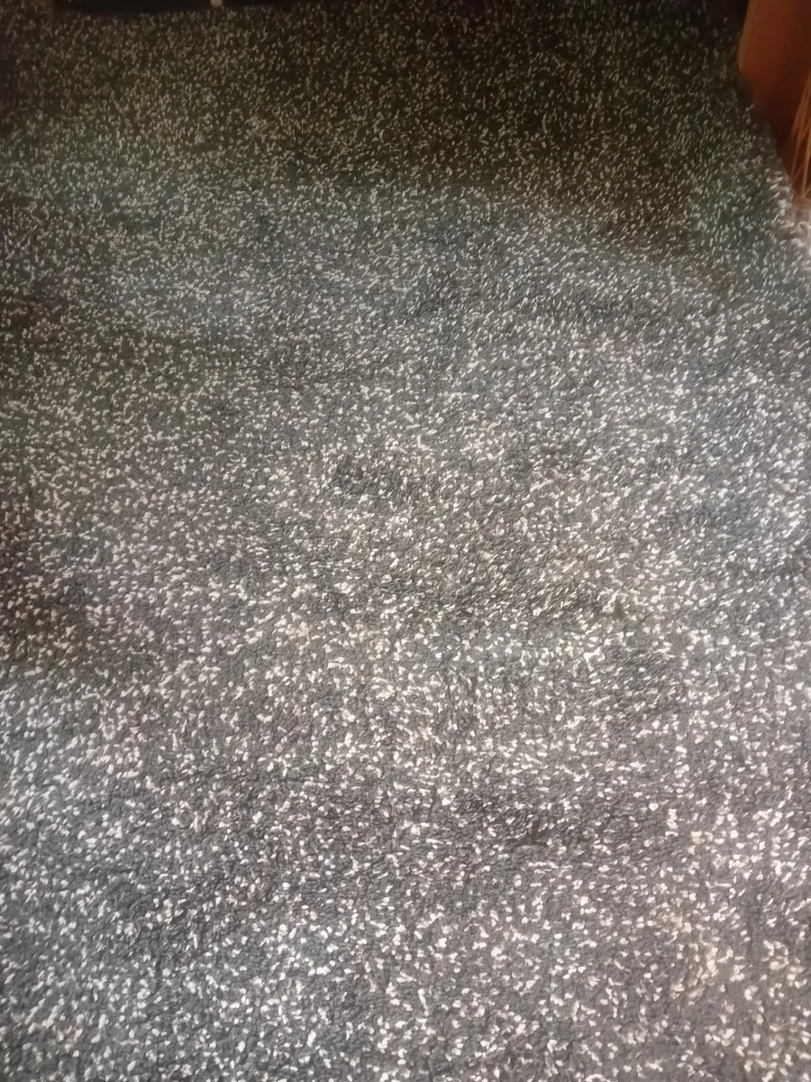 Rug - Image 4