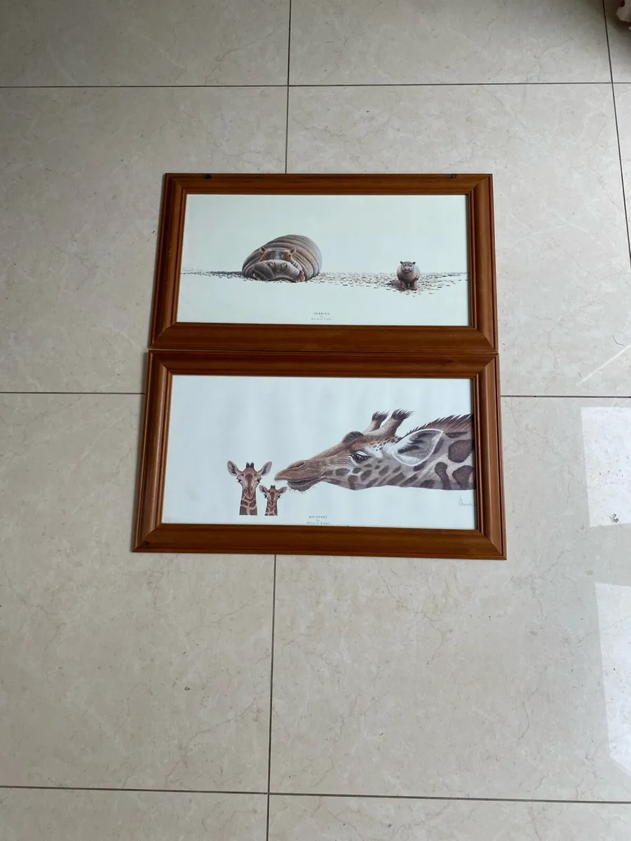 Pictures - Image 3