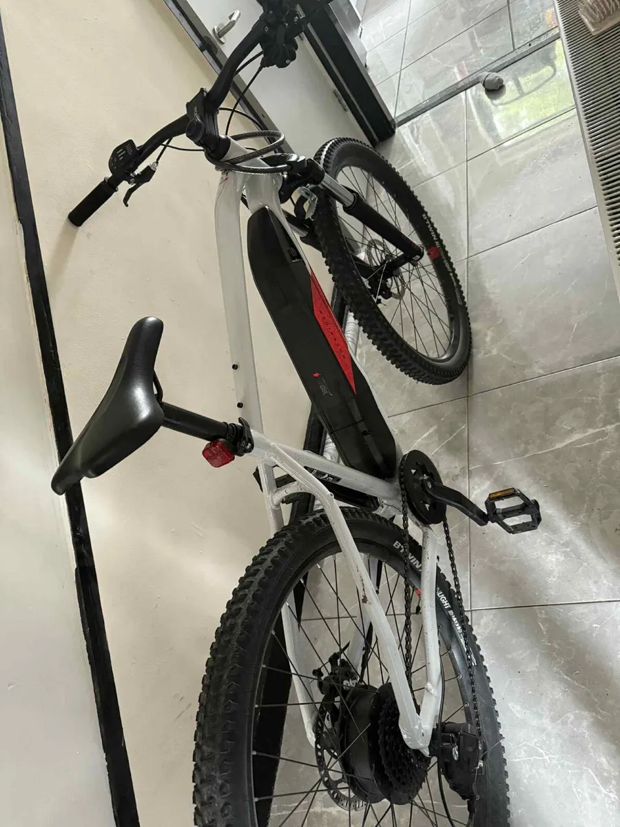 Rock rider hardtail electric mountain bike E-ST 10 - Image 1