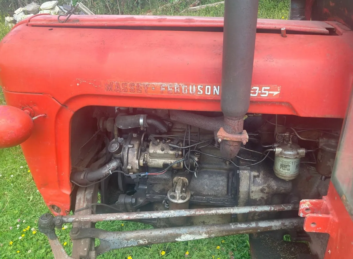 1977 Massey Ferguson 35 and tipping trailer - Image 3
