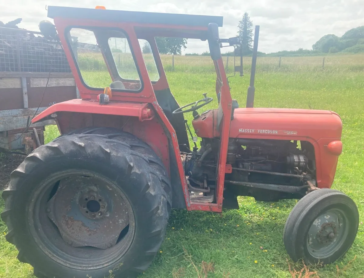 1977 Massey Ferguson 35 and tipping trailer - Image 2