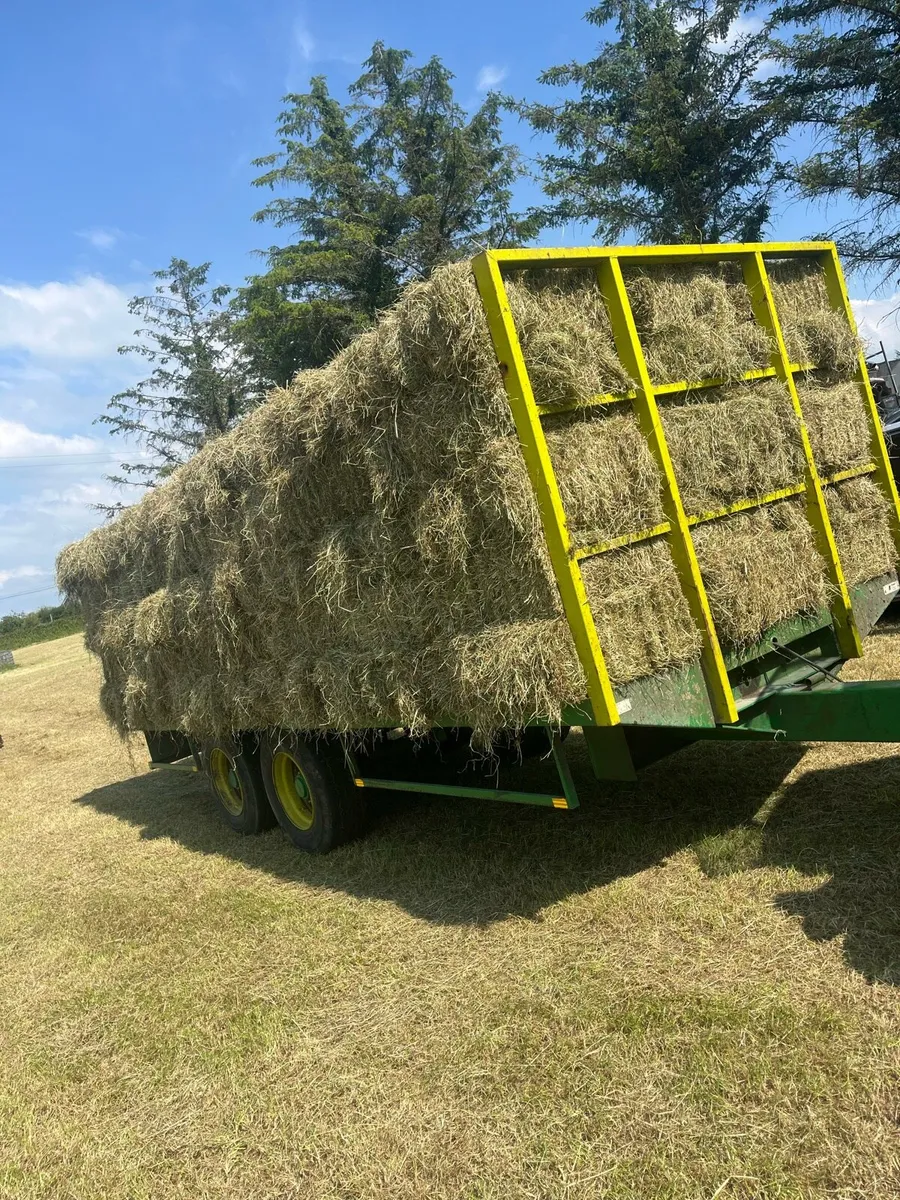 Hay