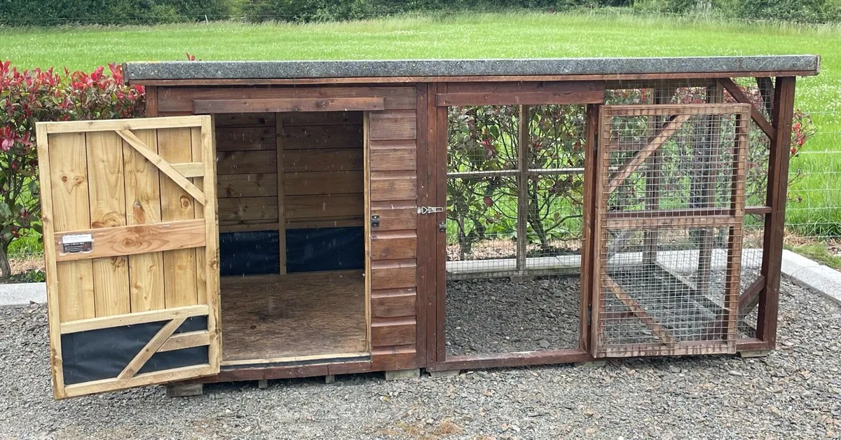 Dog Kennel / Enclosure - Image 2