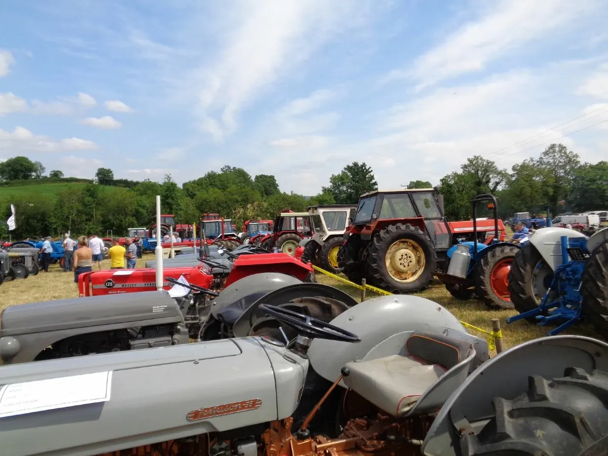 Vintage Tractors - Image 1
