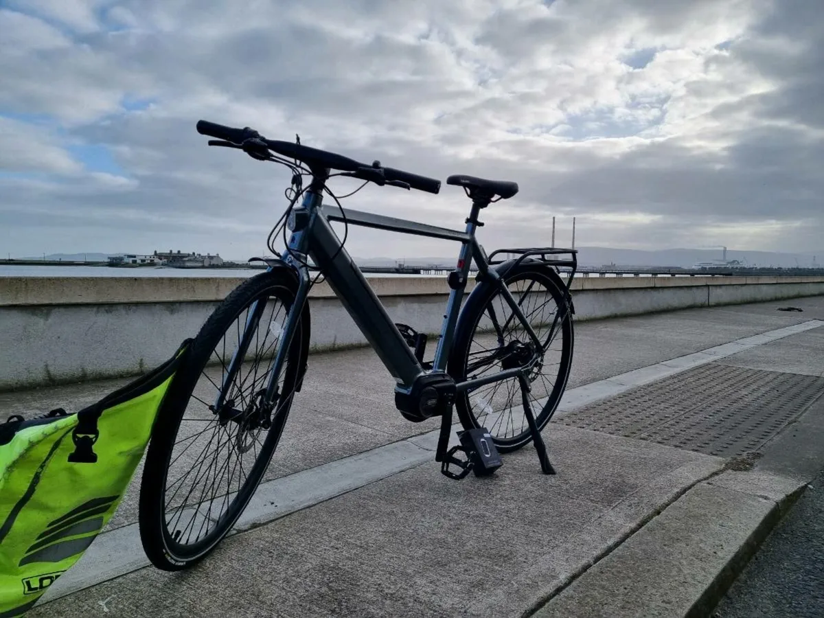 Kuma e bike - Image 1