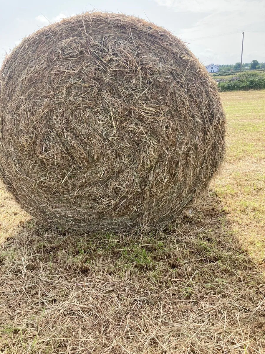 Hay for sale - Image 1