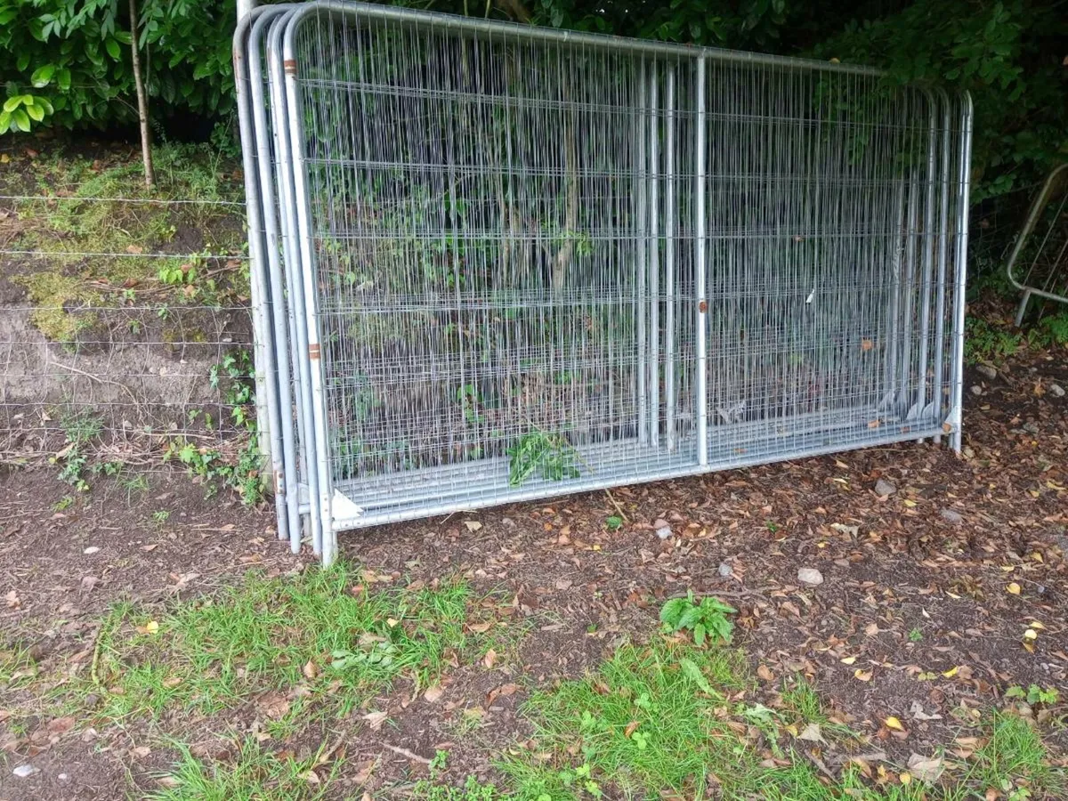 Fenceing - Image 2