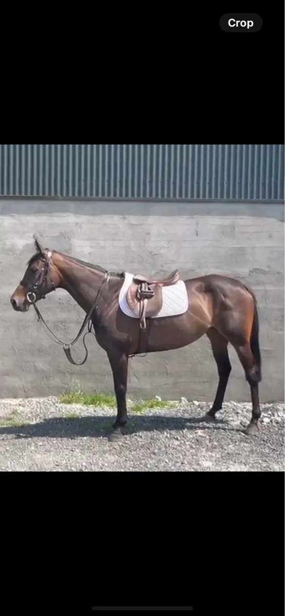 Future Eventer - Image 2