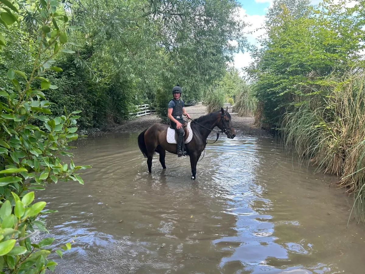 Future Eventer - Image 3