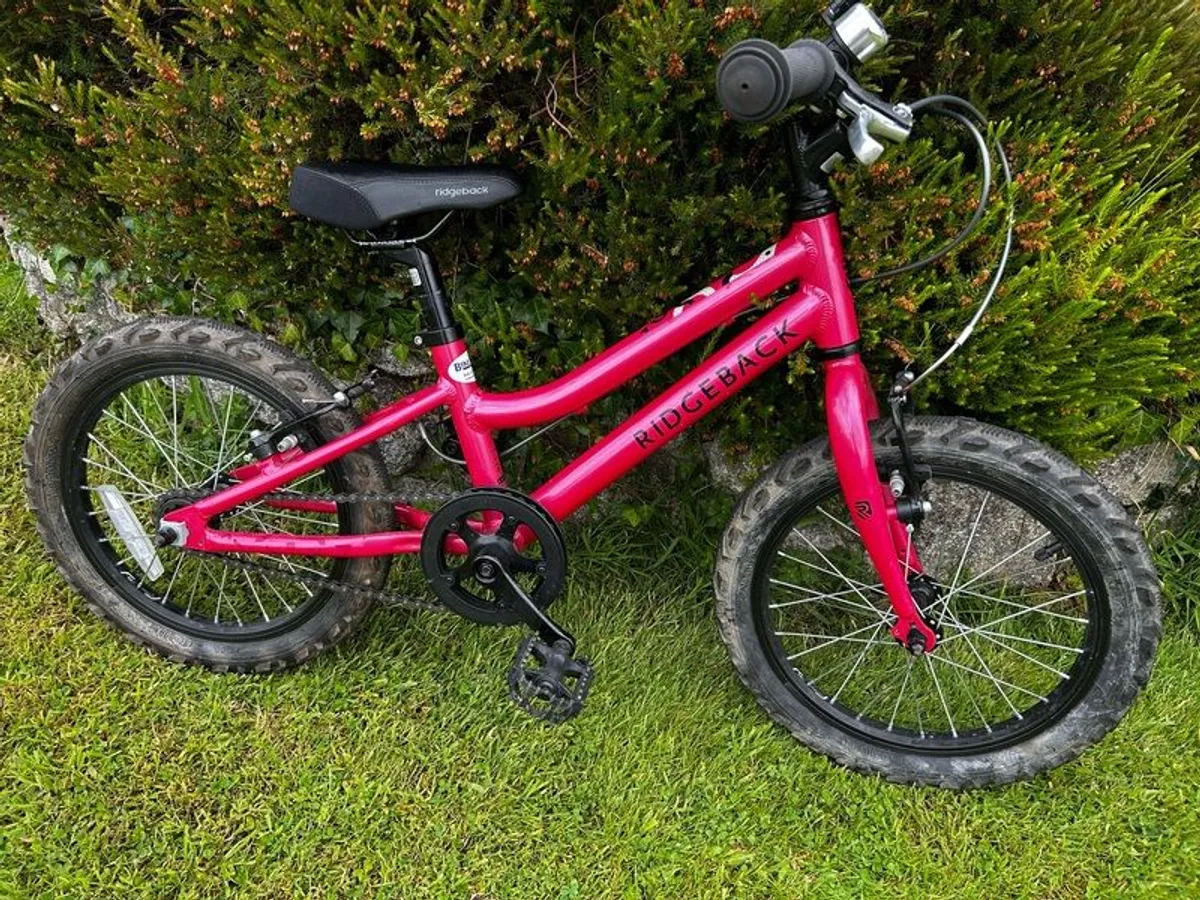 Ridgeback Melody 16 - Image 1