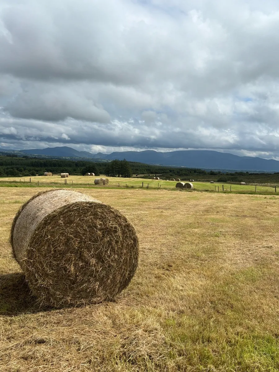 Hay Bales - Image 1