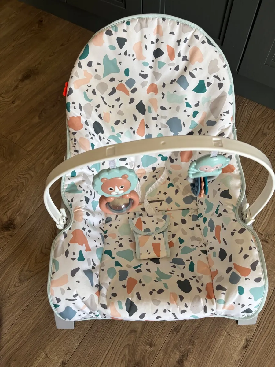 Fisher-Price Infant-to-Toddler Rocker -Terrazzo - Image 1