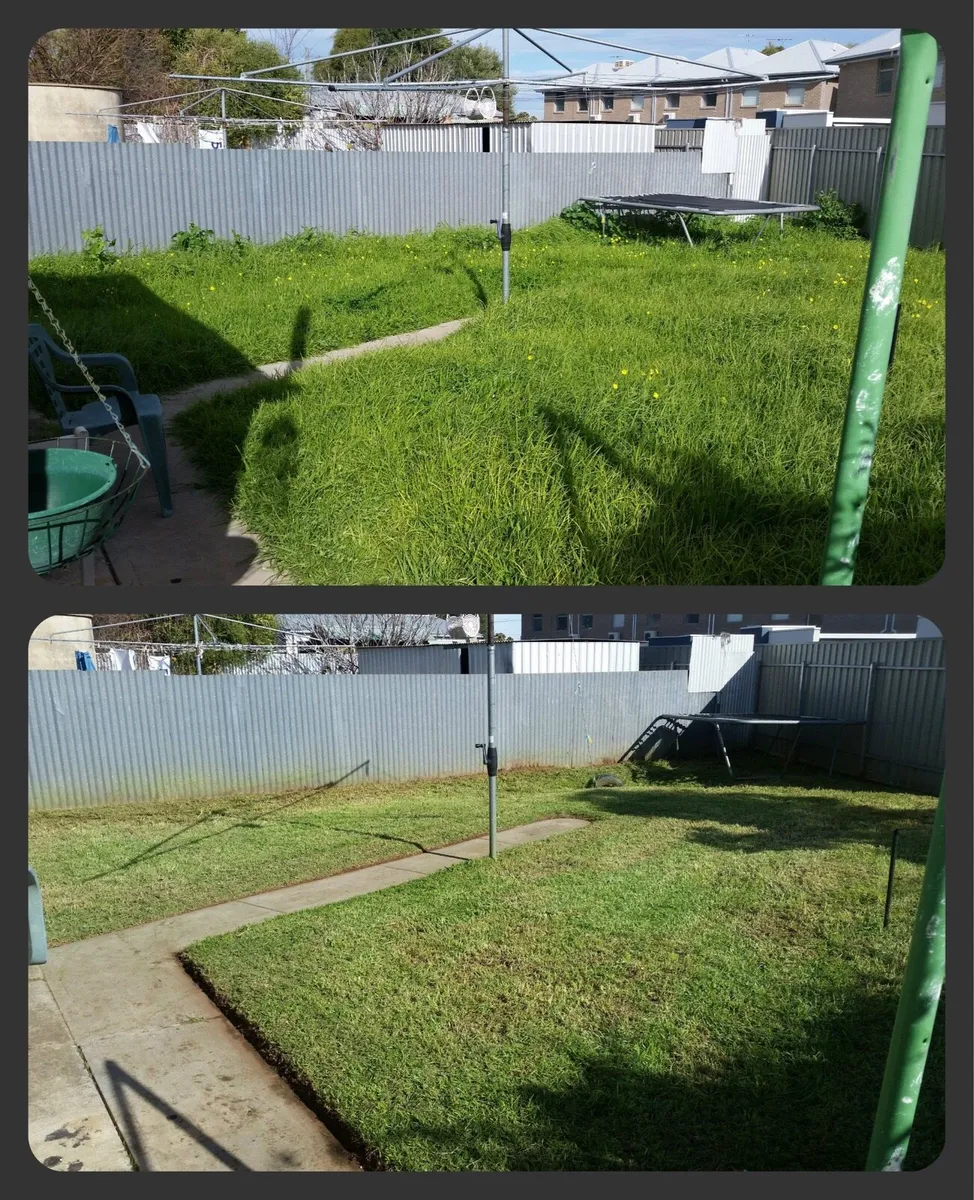 Laois lawns - Gardening Services - Image 3