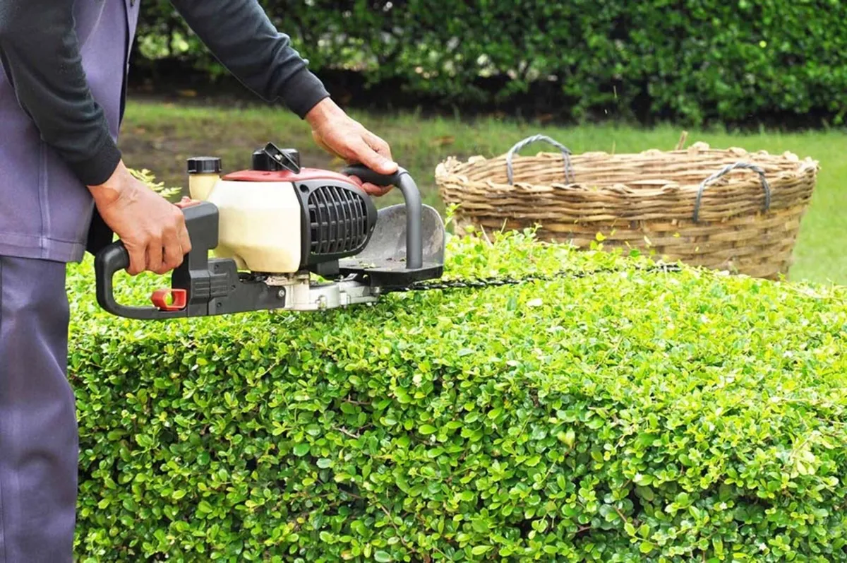 Laois lawns - Gardening Services - Image 4
