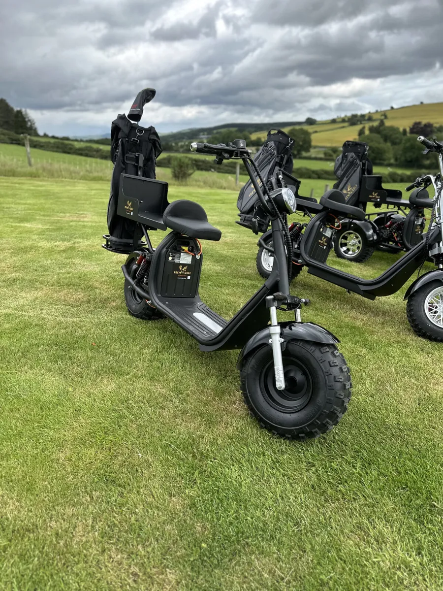 NEW - The Birdie 2 - Two Wheel Electric Golf Buggy - Image 2