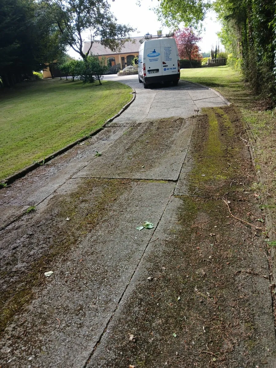 Power washing, roof cleaning , painting - Image 1