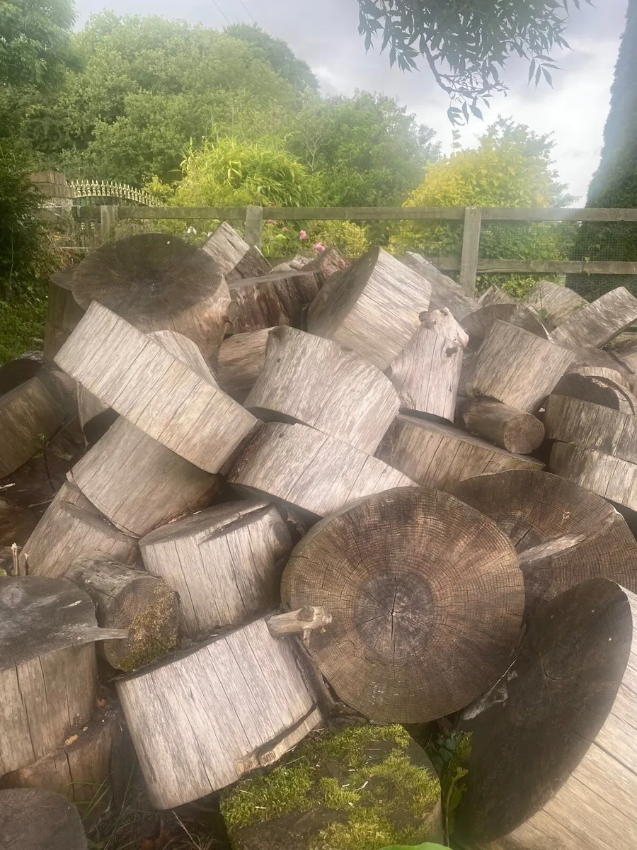 Firewood - Image 2