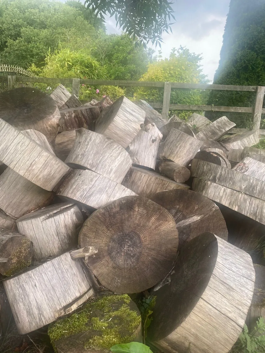 Firewood - Image 3