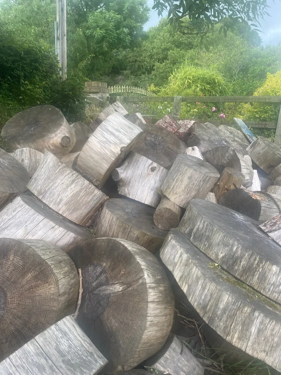 Firewood - Image 1