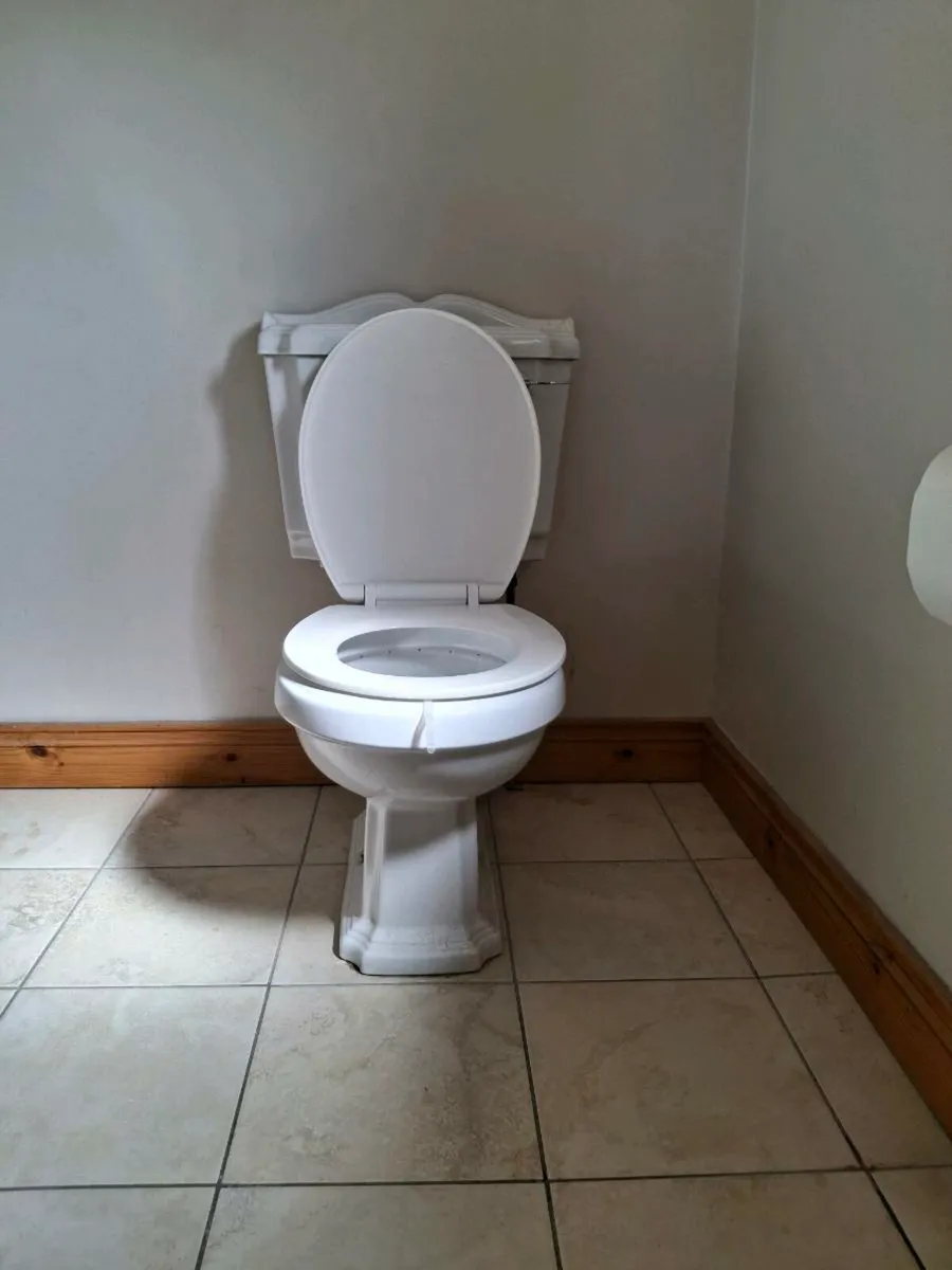 Sink and toilet - Image 1