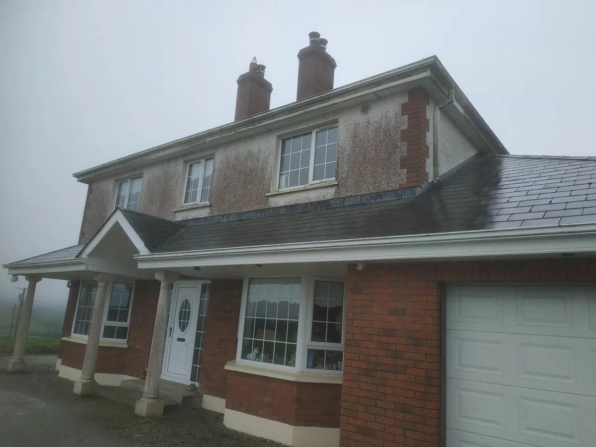 Power washing, roof cleaning , painting - Image 3