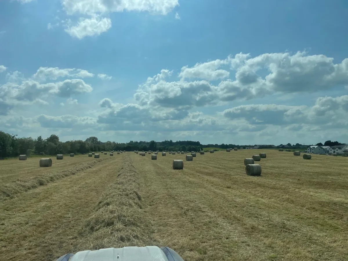 For sale Bales of Top Quality Hay - Image 1