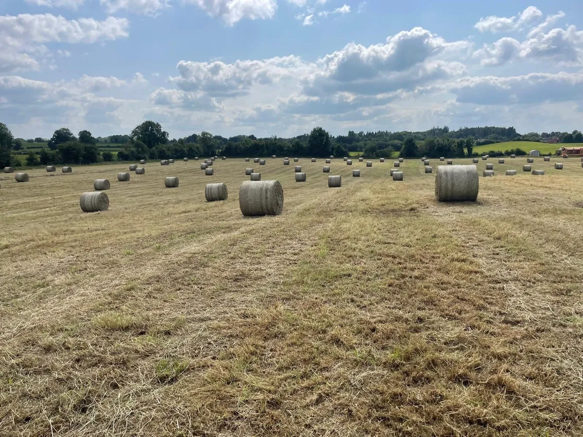 For sale Bales of Top Quality Hay - Image 2