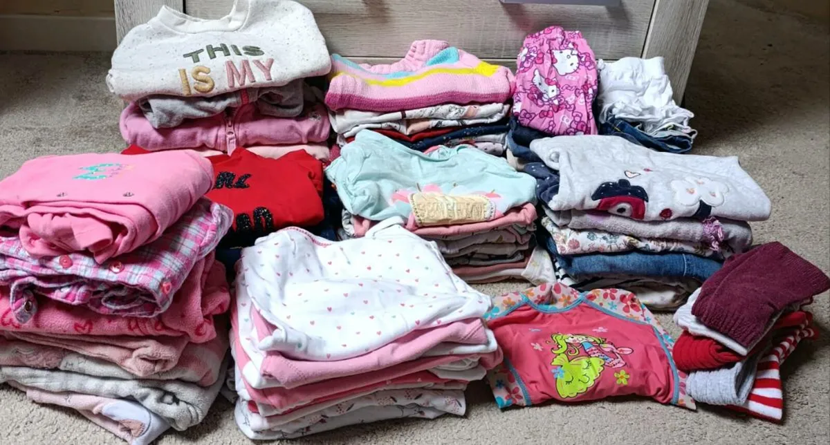 Baby Girls Clothes Bundle Aged 9-12 months - Image 1