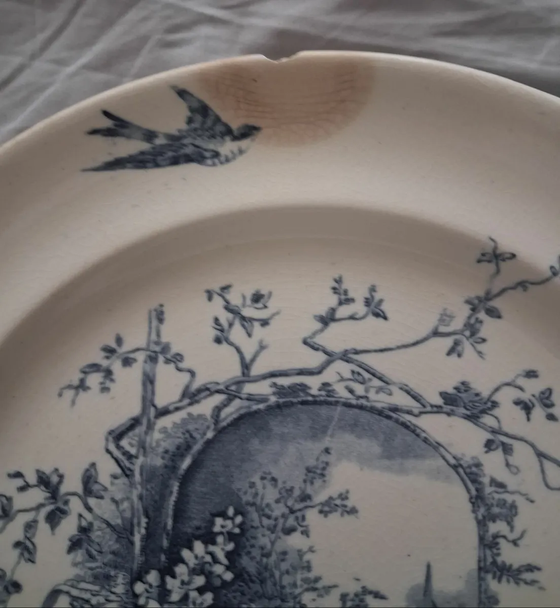 Blue Transferware Victorian Staffordshire Plate ~ - Image 3