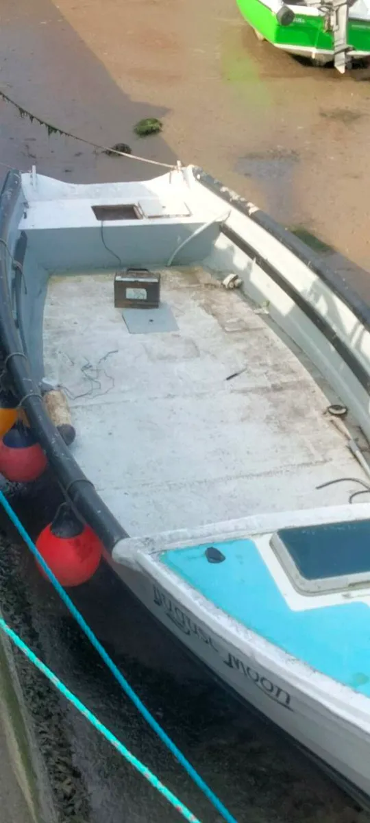21 foot fibreglass punt - Image 1
