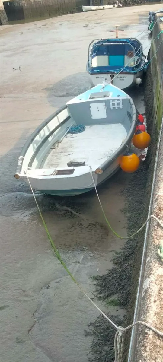 21 foot fibreglass punt - Image 2