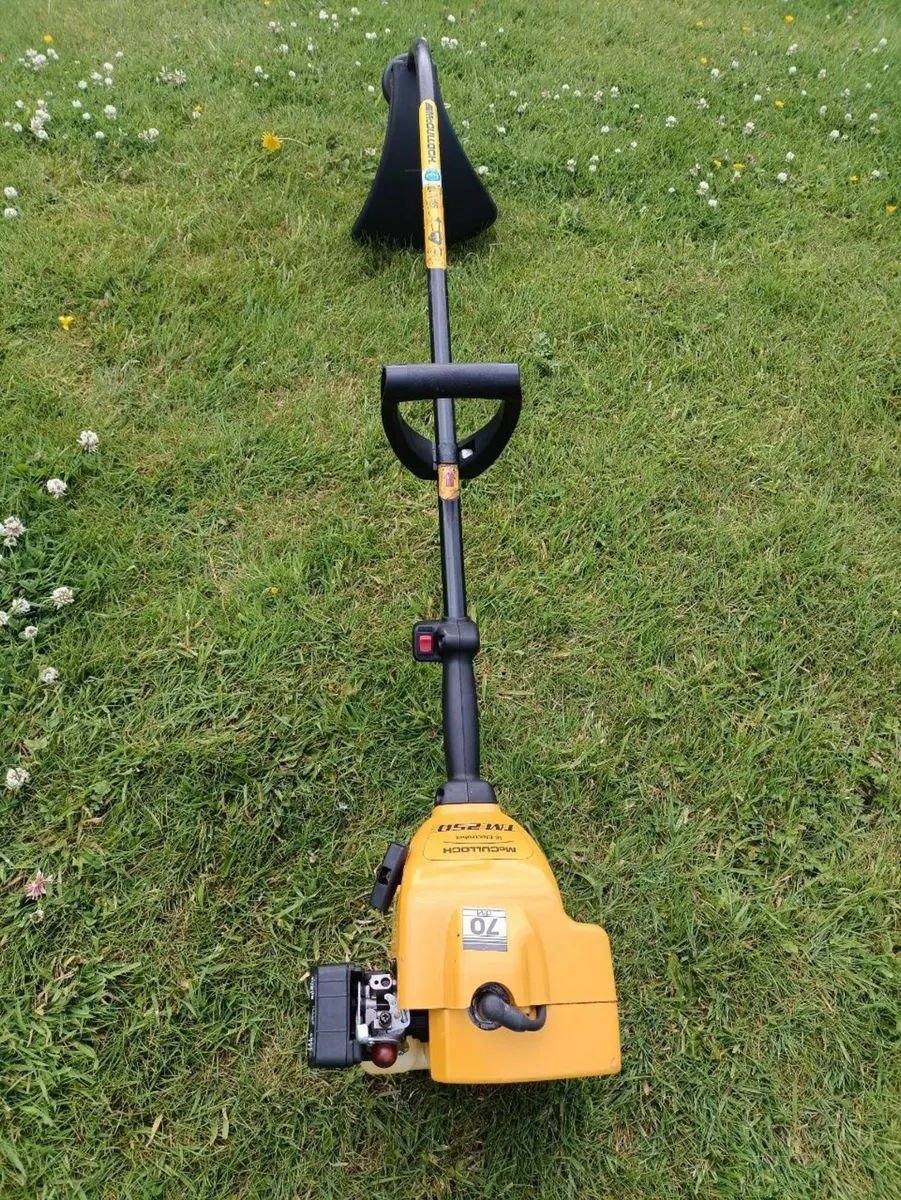 Strimmer - Image 1