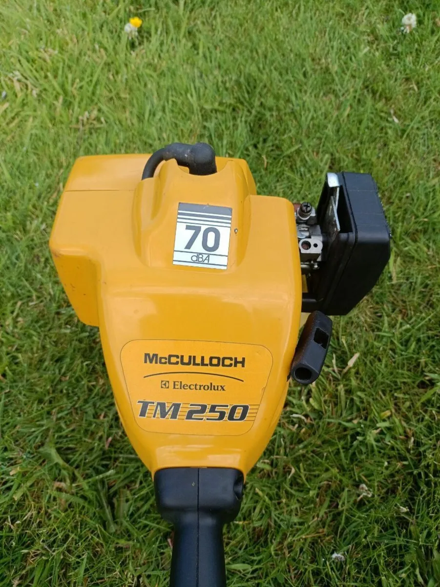 Strimmer - Image 2