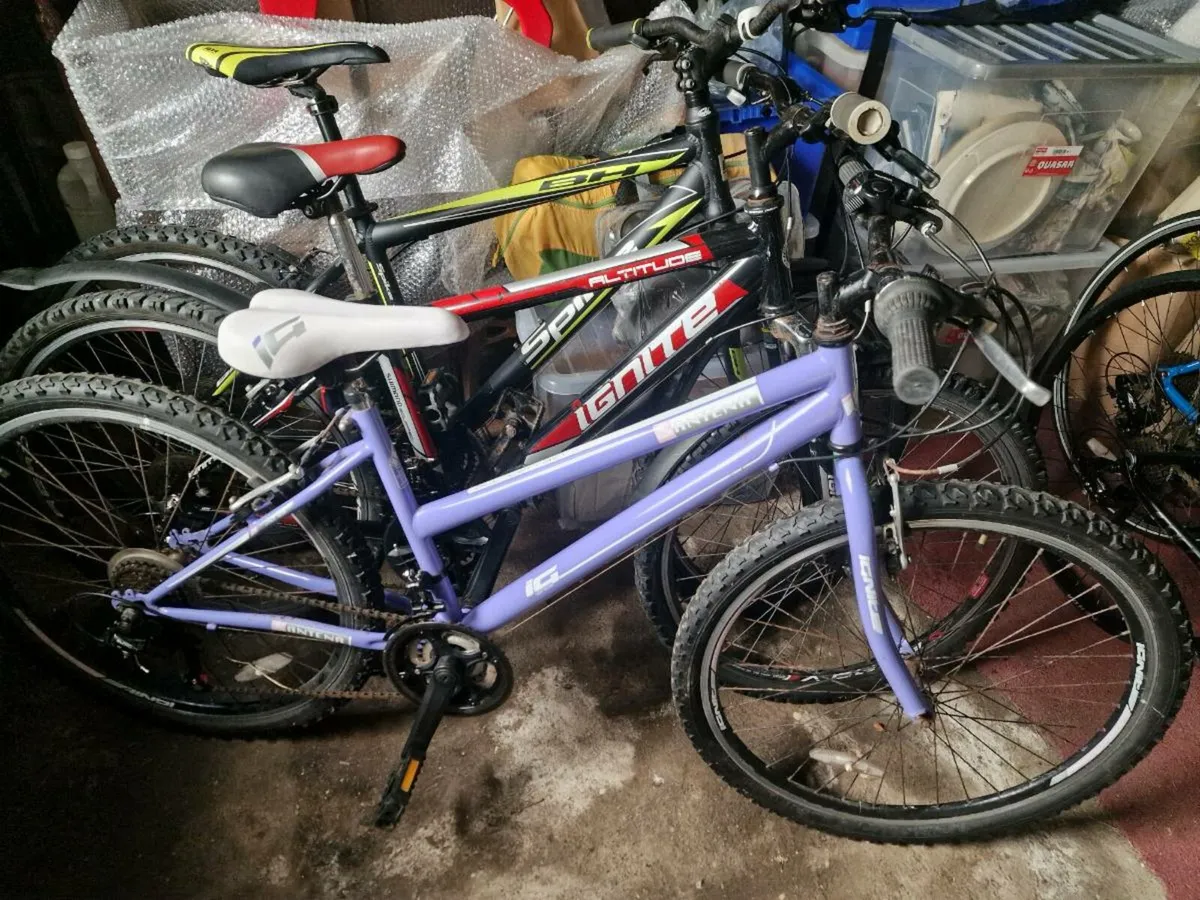Selection of Bikes - Image 2