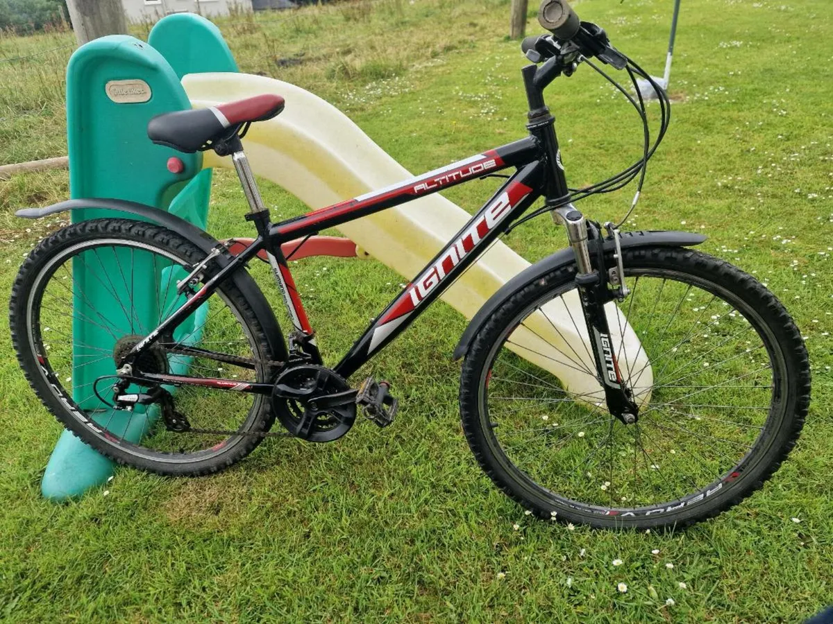 Selection of Bikes - Image 4