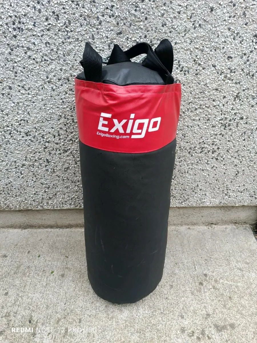 20kg Punch Bag - Image 1