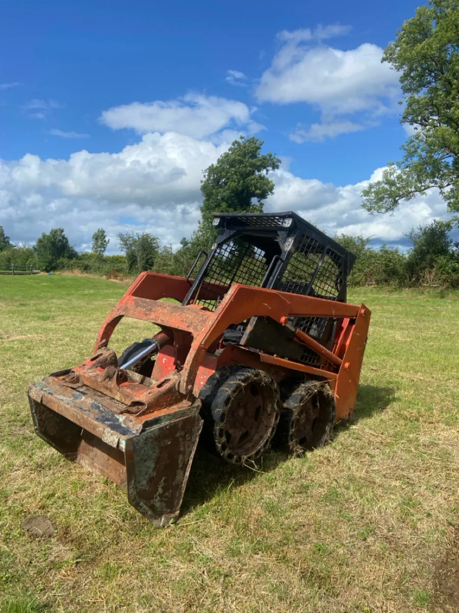 Bobcat - Image 2